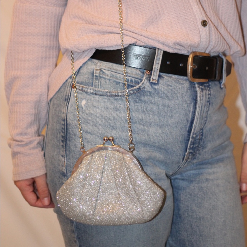 Sparkly Purse/Clutch